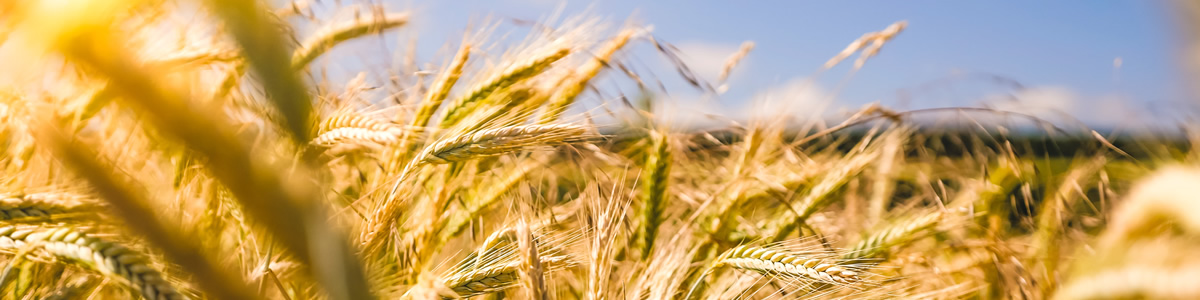 Nahrungsmittelunverträglichkeit Kennzeichen: Allergieähnliche Symptome