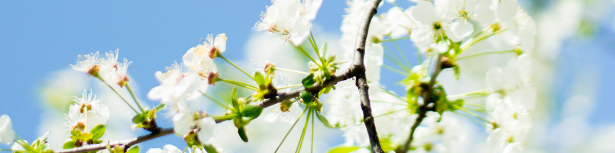 Arzneimittelallergie und Medikamentenallergie