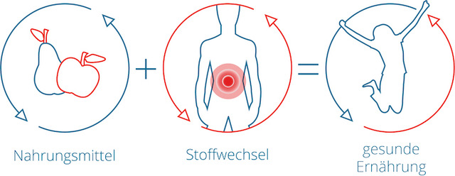 gesund + aktiv Plan Ernährungsberatung