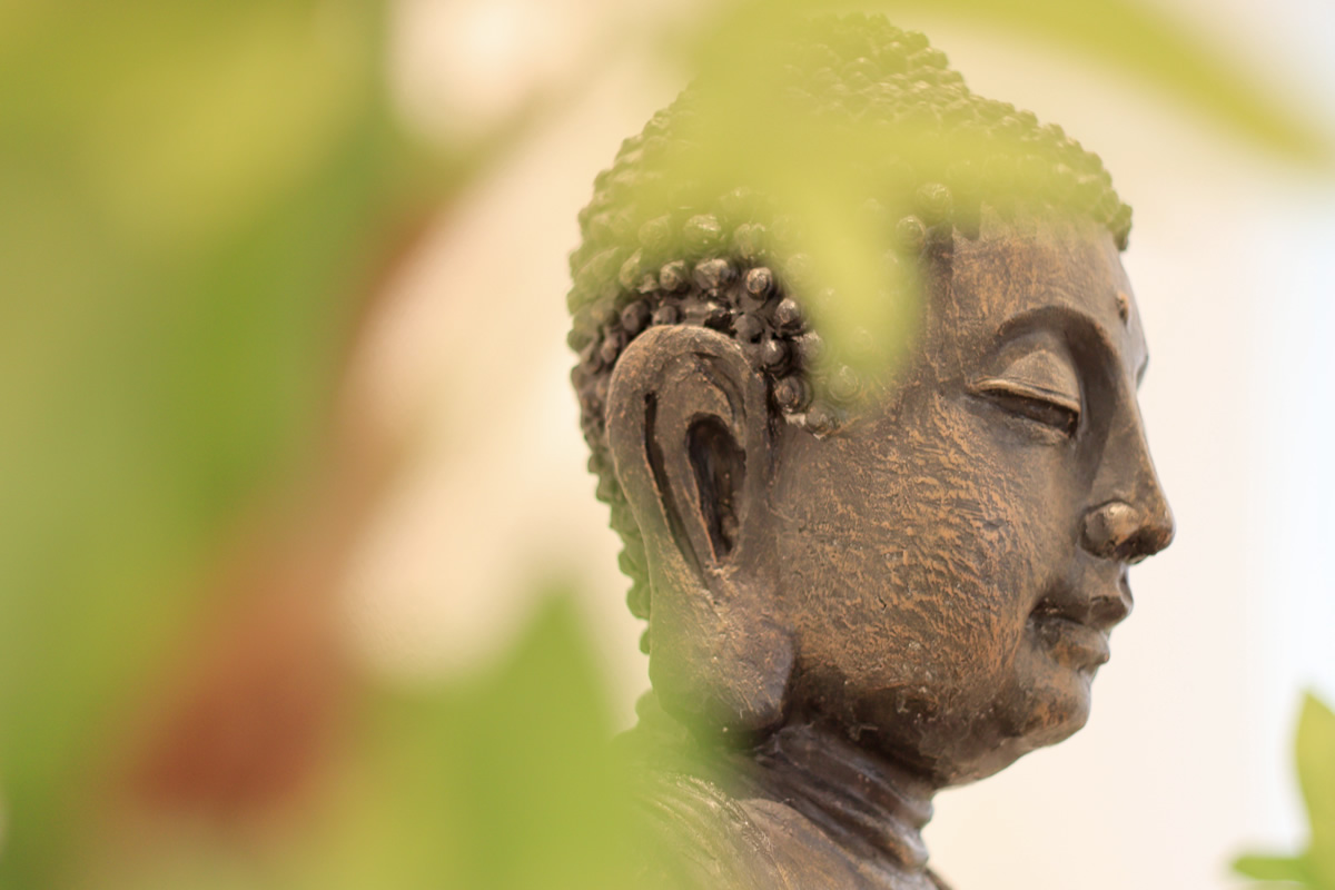 Behandlung von Psyche bei Allergien und Stress