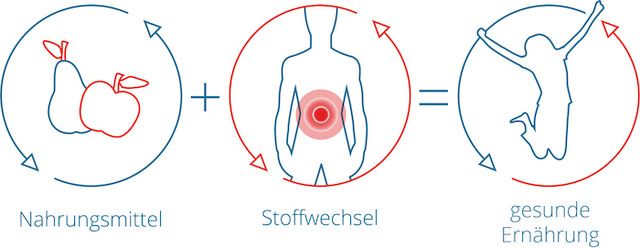 gesund + aktiv Plan Ernährungsberatung